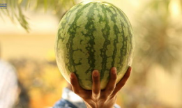 2021娱乐圈吃瓜不断